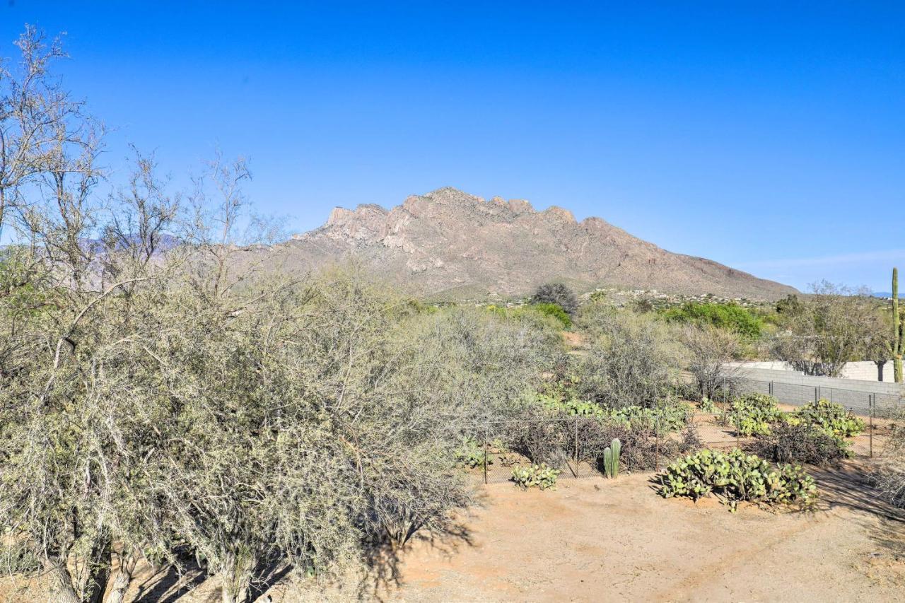 Oro Valley Retreat With Pool, Spa And Rooftop Views! Kültér fotó